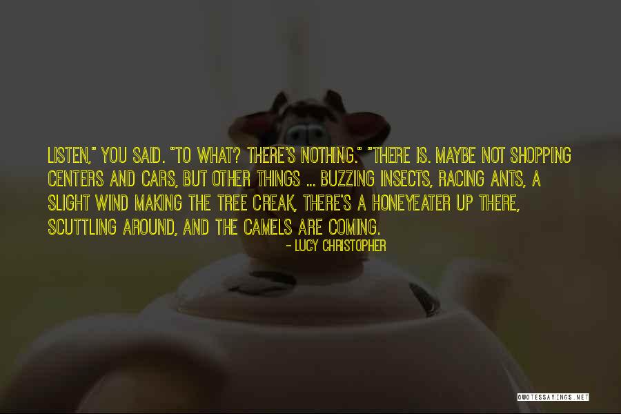 Malmgren Family Quotes By Lucy Christopher Malmgren Family Quotes By Lucy Christopher