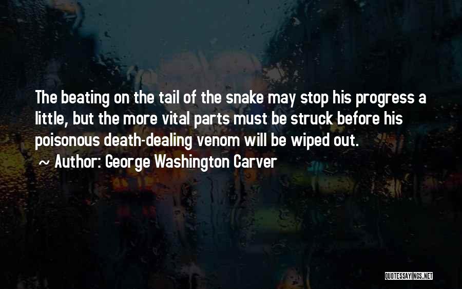 Malmsteen Discography Quotes By George Washington Carver