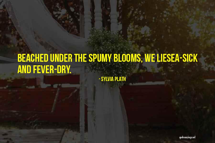 Malnutrition Screening Quotes By Sylvia Plath Malnutrition Screening Quotes By Sylvia Plath