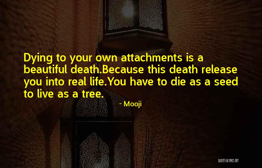 Malolos Bulacan Quotes By Mooji Malolos Bulacan Quotes By Mooji