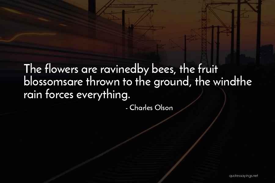 Malouhanna Quotes By Charles Olson Malouhanna Quotes By Charles Olson