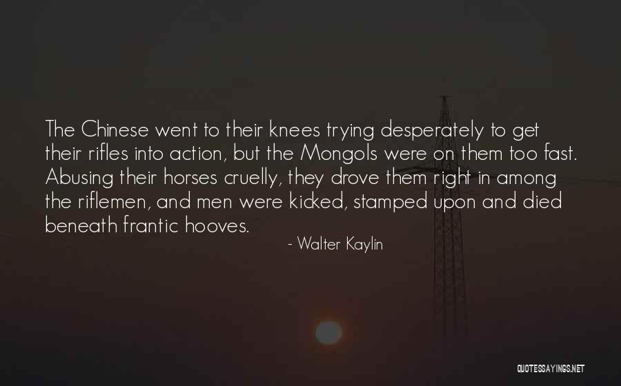 Malpartida Almeida Quotes By Walter Kaylin Malpartida Almeida Quotes By Walter Kaylin