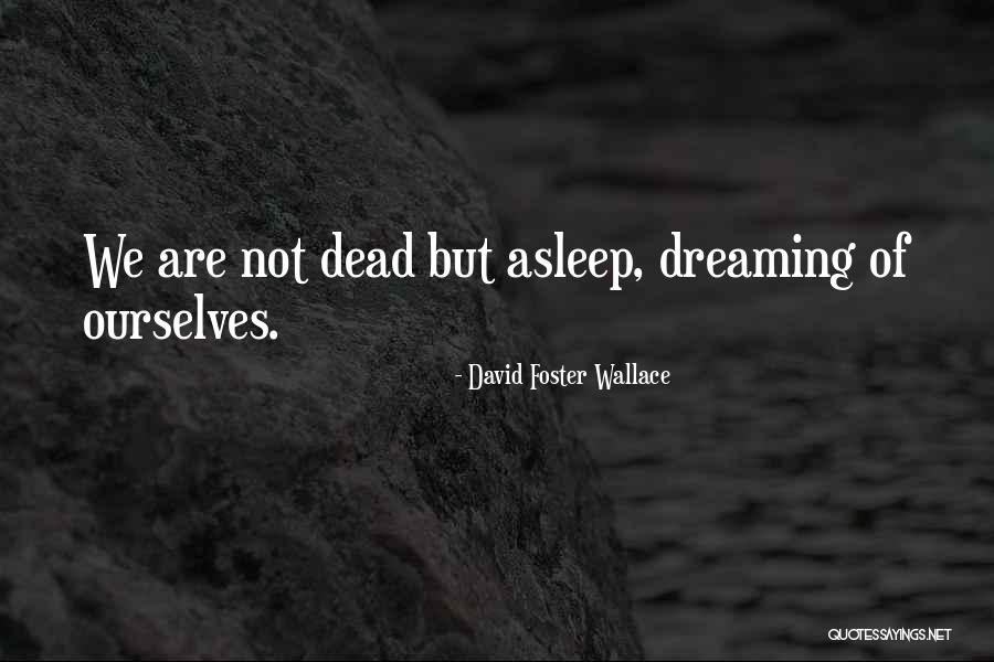 Malseroudne Quotes By David Foster Wallace Malseroudne Quotes By David Foster Wallace