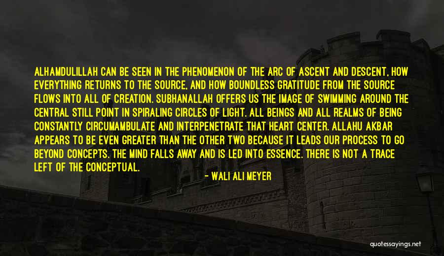 Malseroudne Quotes By Wali Ali Meyer Malseroudne Quotes By Wali Ali Meyer
