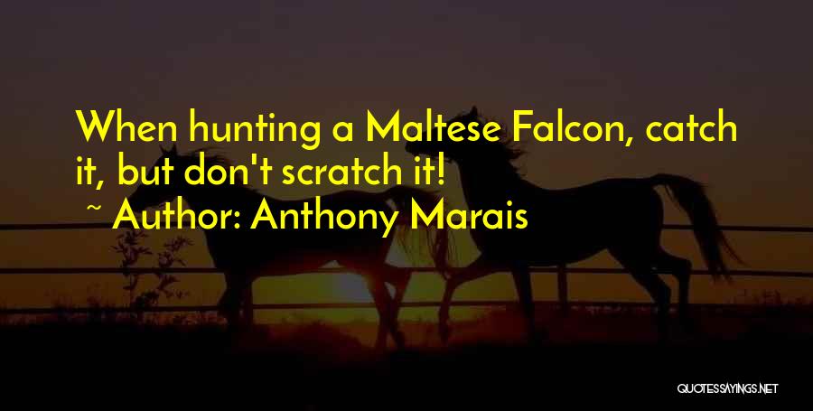 Maltese Quotes By Anthony Marais