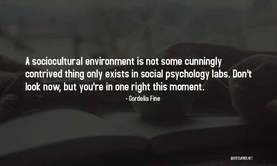 Malulani Hospital Maui Quotes By Cordelia Fine Malulani Hospital Maui Quotes By Cordelia Fine