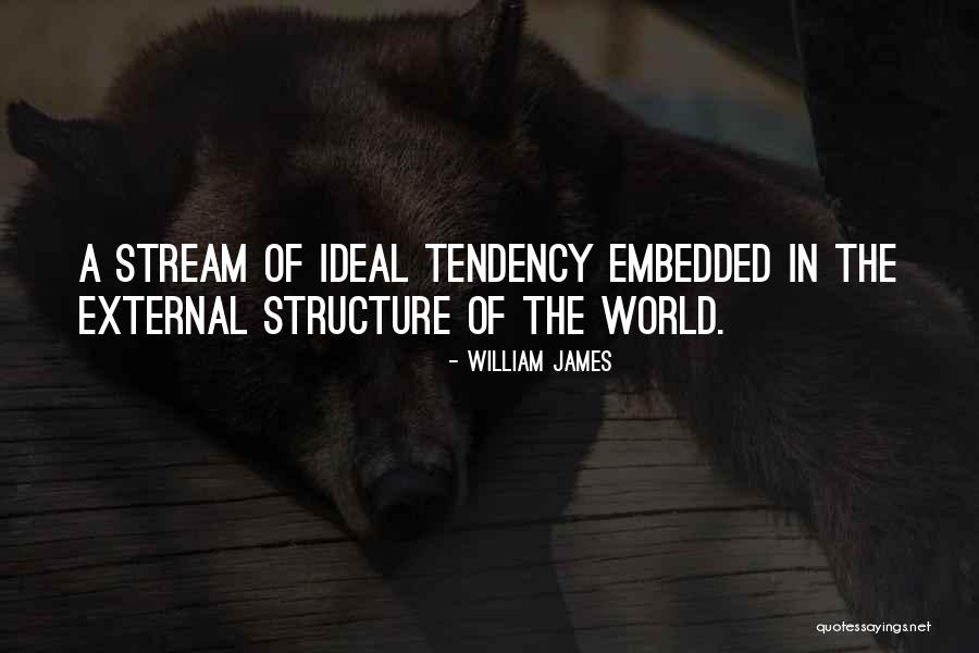 Malyssa Bellarosa Quotes By William James Malyssa Bellarosa Quotes By William James