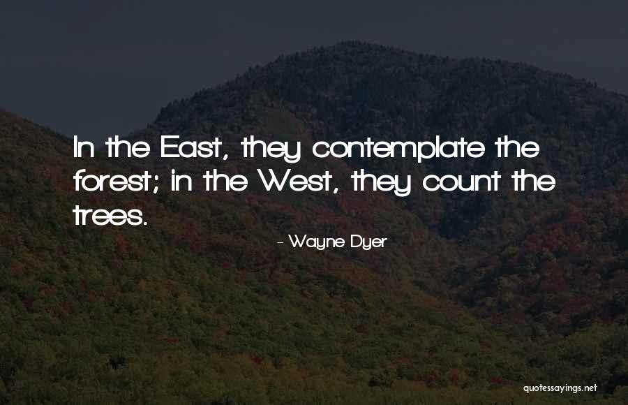 Malyszko Photography Quotes By Wayne Dyer