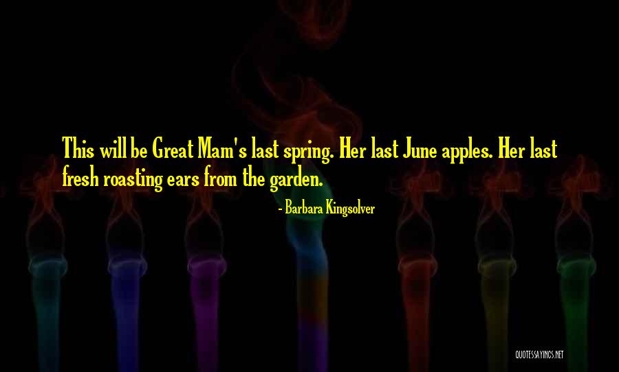 Mam Quotes By Barbara Kingsolver Mam Quotes By Barbara Kingsolver