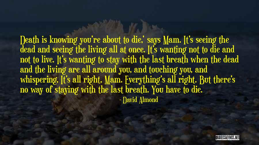 Mam Quotes By David Almond Mam Quotes By David Almond