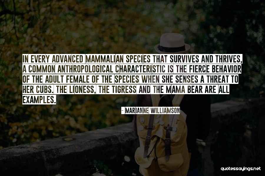 Mama Bear Quotes By Marianne Williamson