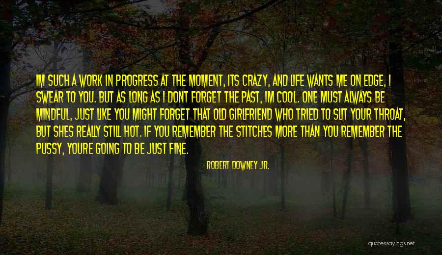 Mamahd Quotes By Robert Downey Jr. Mamahd Quotes By Robert Downey Jr.
