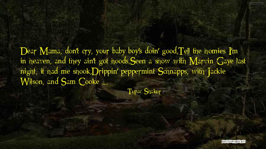 Mama's Boy Quotes By Tupac Shakur Mama's Boy Quotes By Tupac Shakur