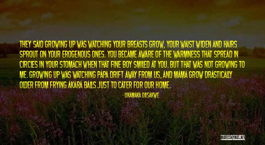 Mama's Boy Quotes By Ukamaka Olisakwe Mama's Boy Quotes By Ukamaka Olisakwe