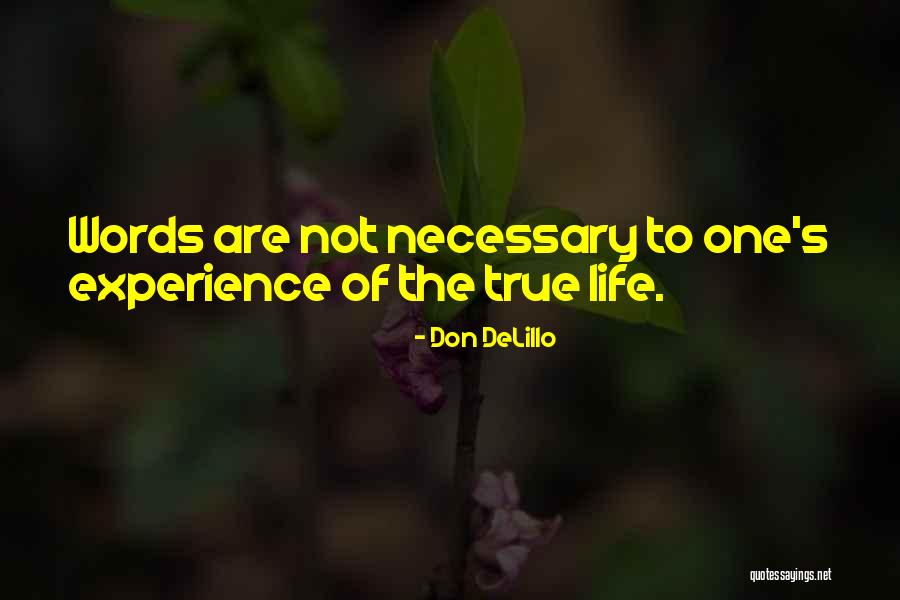 Mamaw Hillbilly Elegy Quotes By Don DeLillo