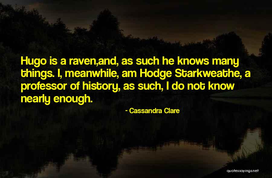 Mambonsai Quotes By Cassandra Clare Mambonsai Quotes By Cassandra Clare