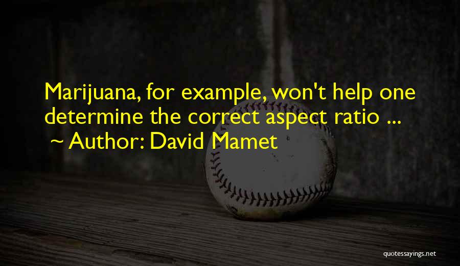 Mamet Quotes By David Mamet