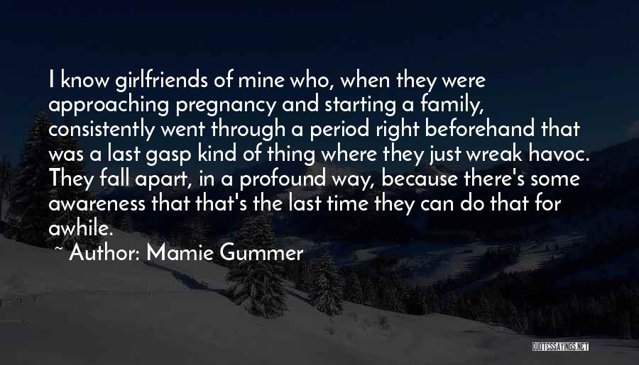 Mamie Gummer Quotes 1115523