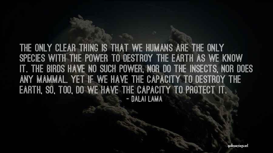 Mammal Quotes By Dalai Lama