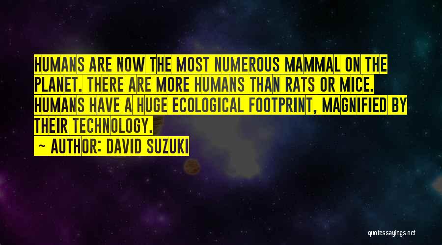 Mammal Quotes By David Suzuki