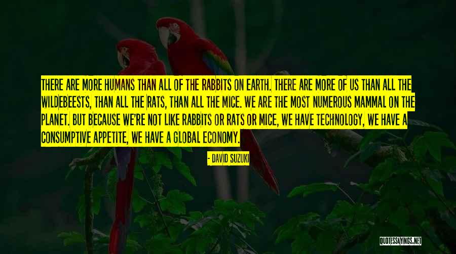 Mammal Quotes By David Suzuki