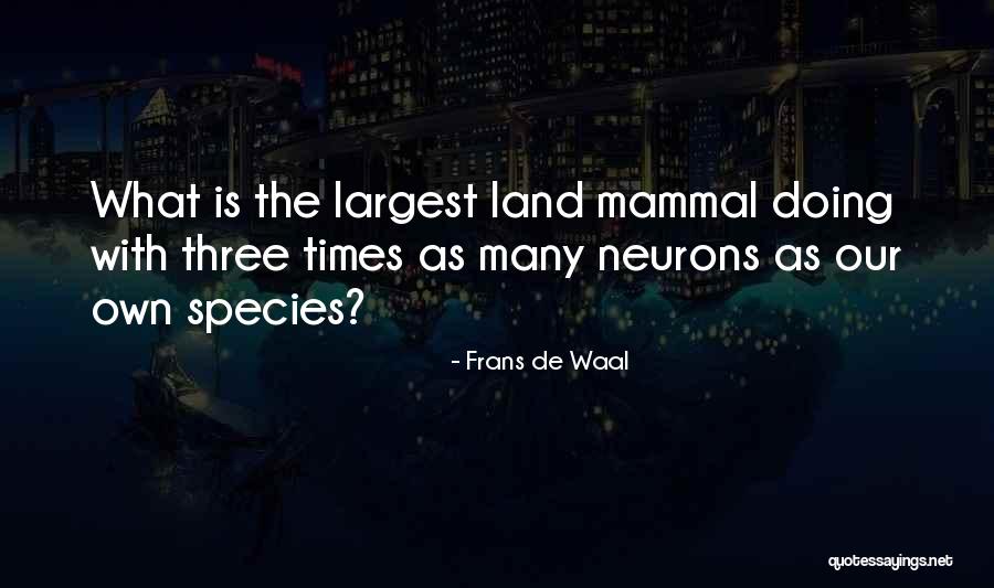 Mammal Quotes By Frans De Waal