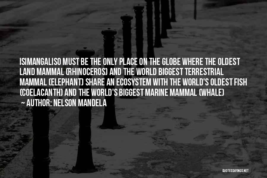 Mammal Quotes By Nelson Mandela