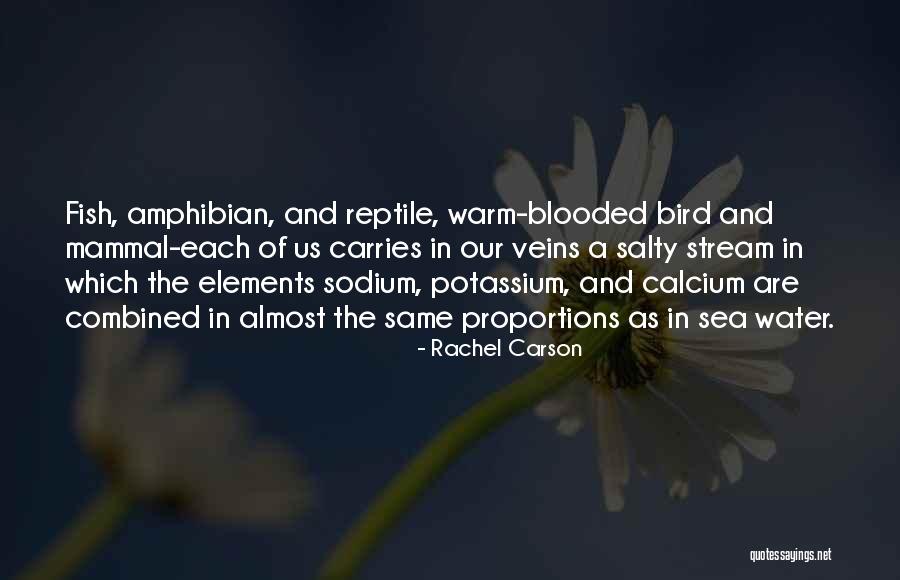 Mammal Quotes By Rachel Carson