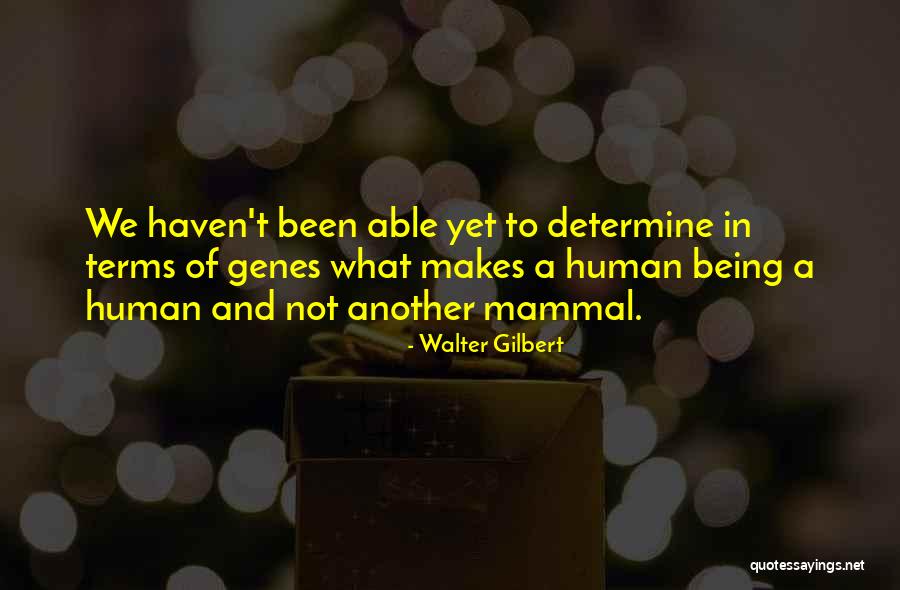 Mammal Quotes By Walter Gilbert