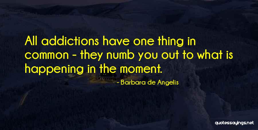 Mammalia Class Quotes By Barbara De Angelis Mammalia Class Quotes By Barbara De Angelis