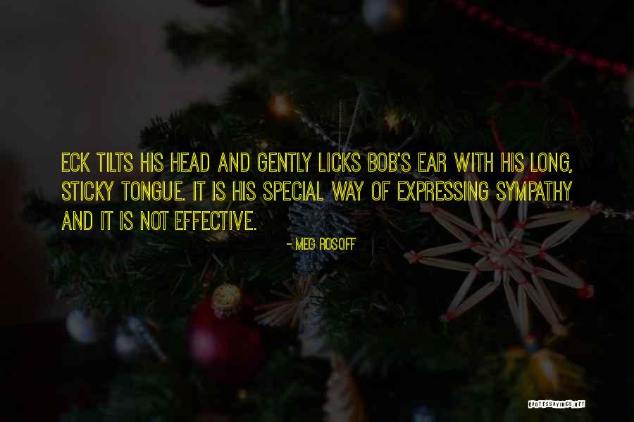 Mamun Sir Quotes By Meg Rosoff Mamun Sir Quotes By Meg Rosoff