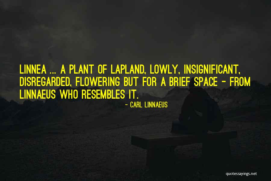Mamuti Quotes By Carl Linnaeus Mamuti Quotes By Carl Linnaeus