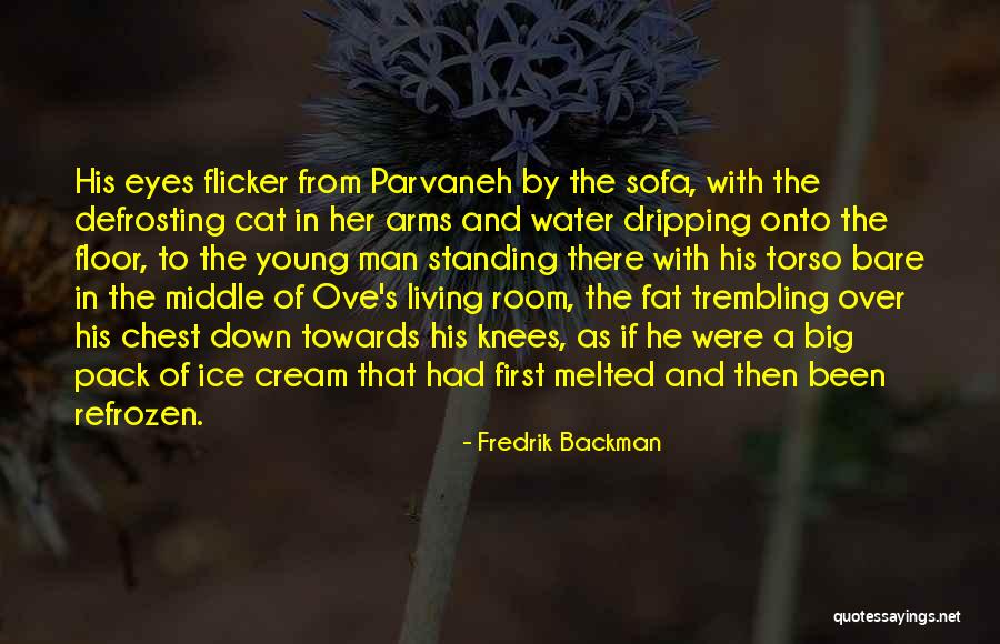 Man And His Cat Quotes By Fredrik Backman Man And His Cat Quotes By Fredrik Backman