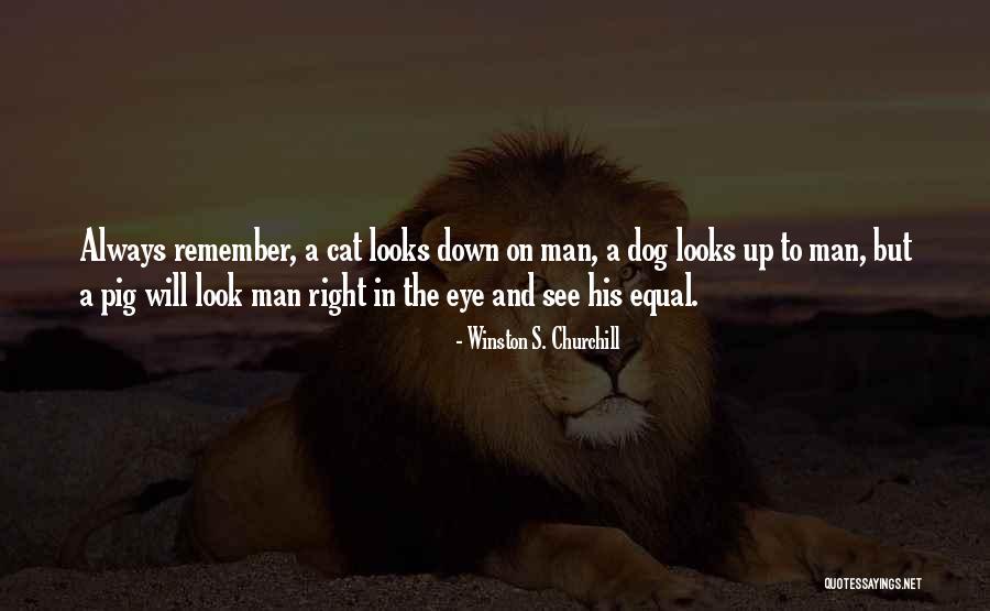 Man And His Cat Quotes By Winston S. Churchill Man And His Cat Quotes By Winston S. Churchill