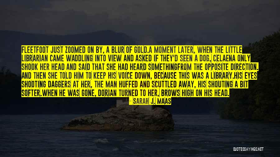 Man And His Dog Quotes By Sarah J. Maas Man And His Dog Quotes By Sarah J. Maas