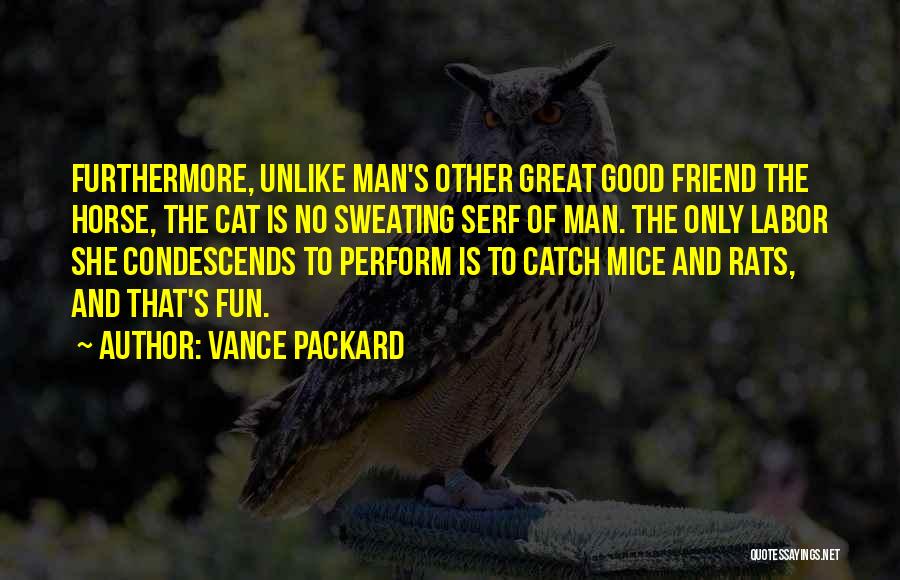 Man And Horse Quotes By Vance Packard