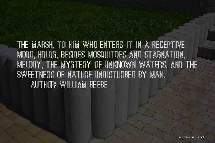 Man And Nature Marsh Quotes By William Beebe