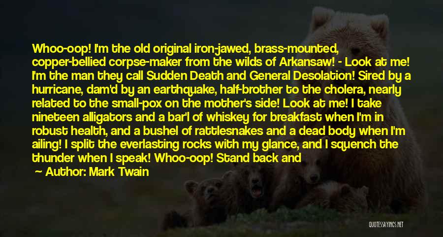 Man And Whiskey Quotes By Mark Twain