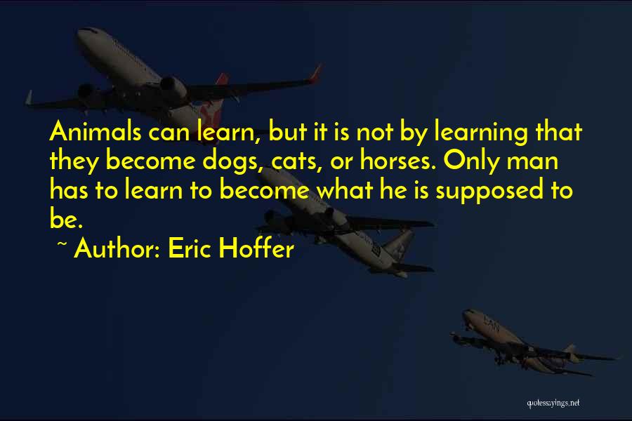 Man Cat Quotes By Eric Hoffer