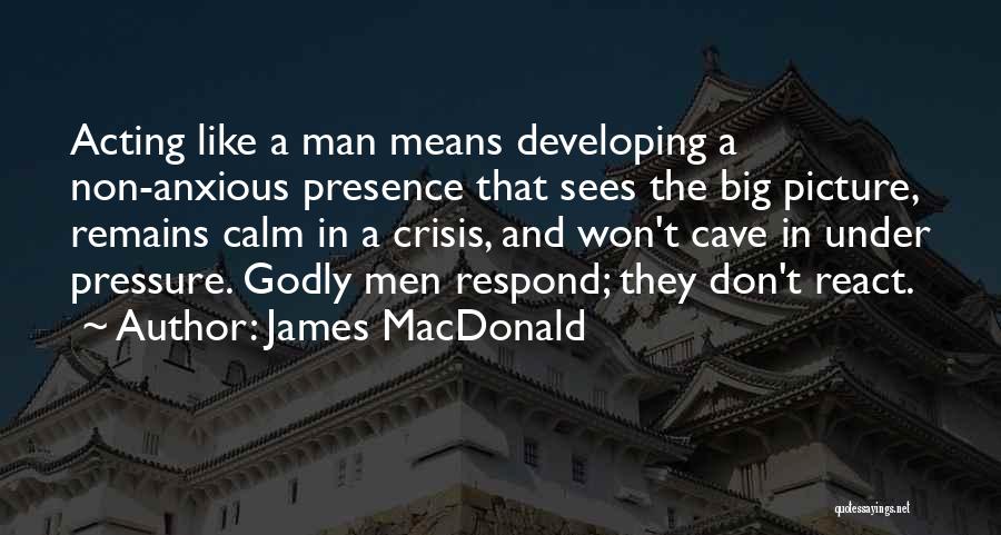 Man Cave Quotes By James MacDonald