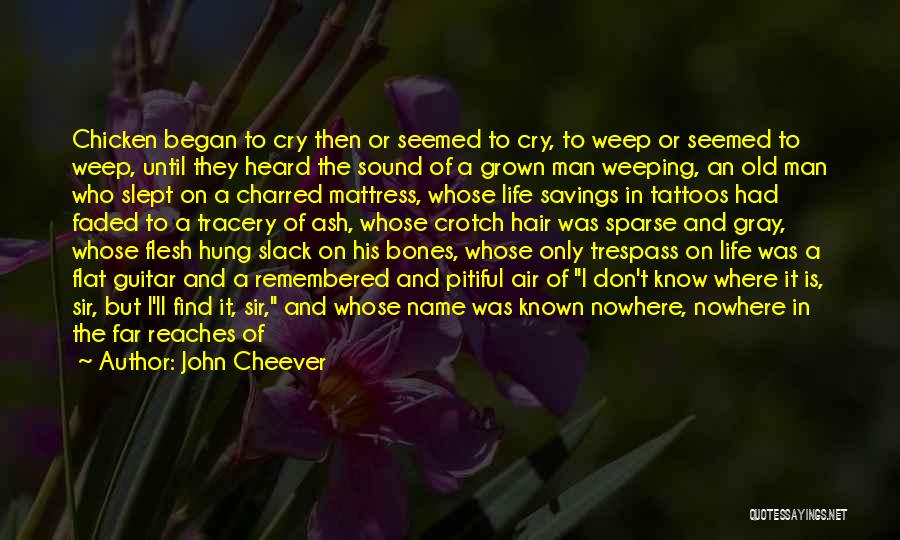 Man Don't Cry Quotes By John Cheever