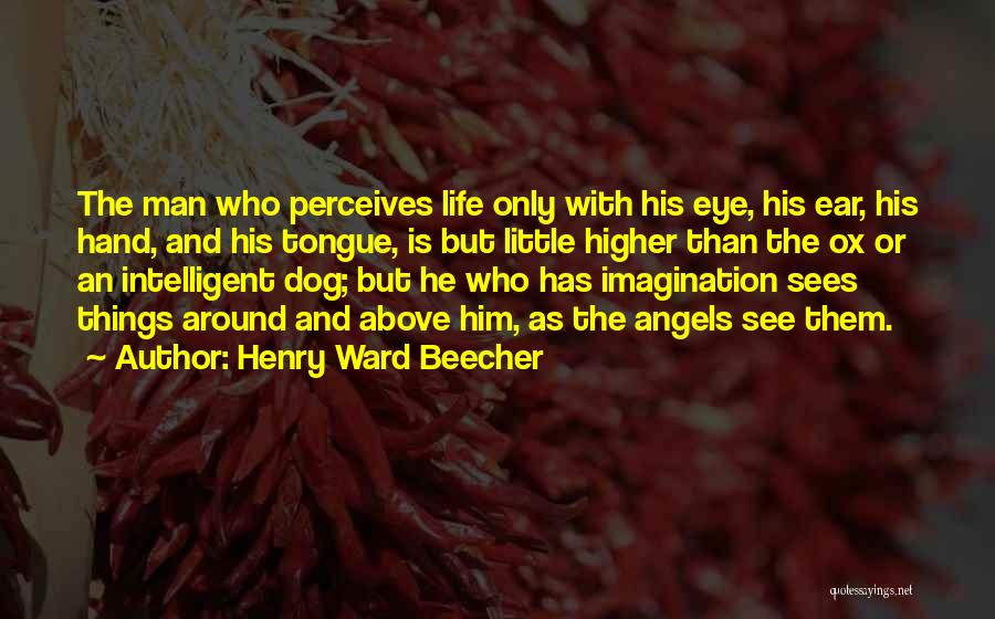 Man His Dog Quotes By Henry Ward Beecher