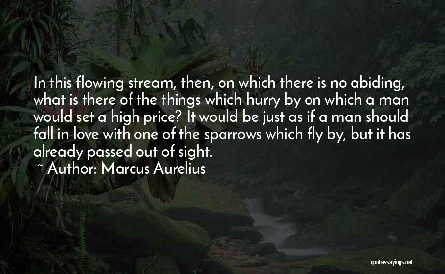 Man In A Hurry Quotes By Marcus Aurelius