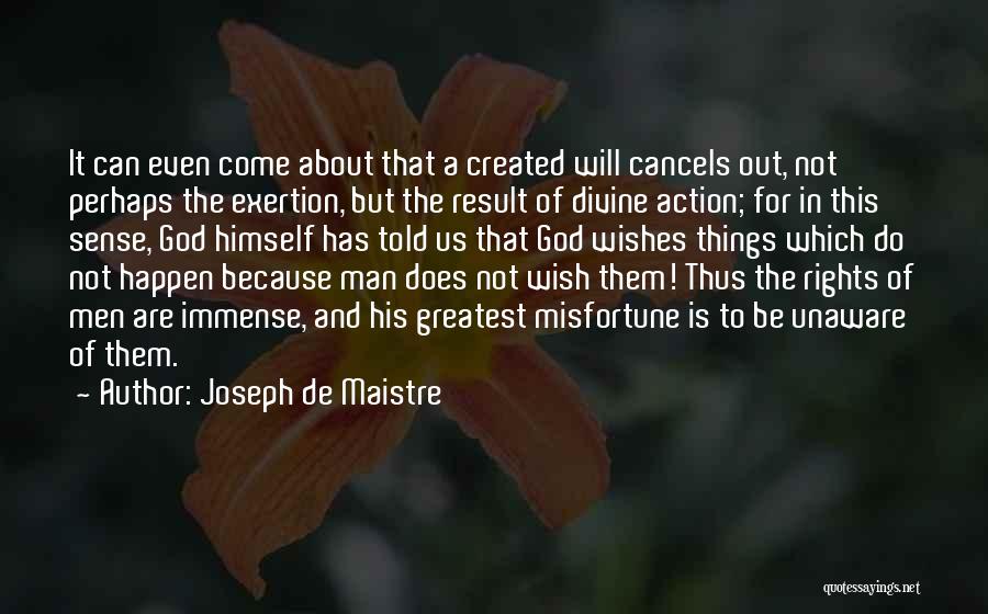 Man In Action Quotes By Joseph De Maistre