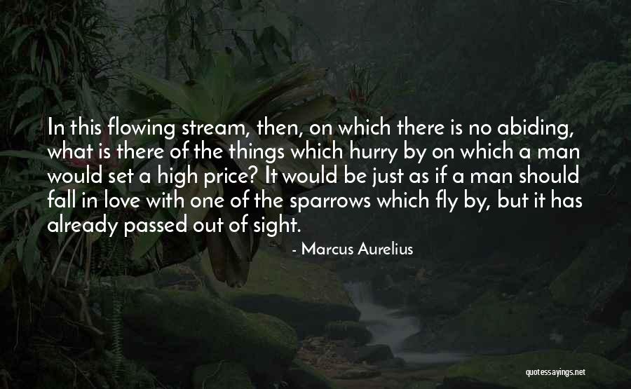 Man In Hurry Quotes By Marcus Aurelius Man In Hurry Quotes By Marcus Aurelius