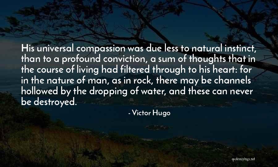 Man In Nature Quotes By Victor Hugo