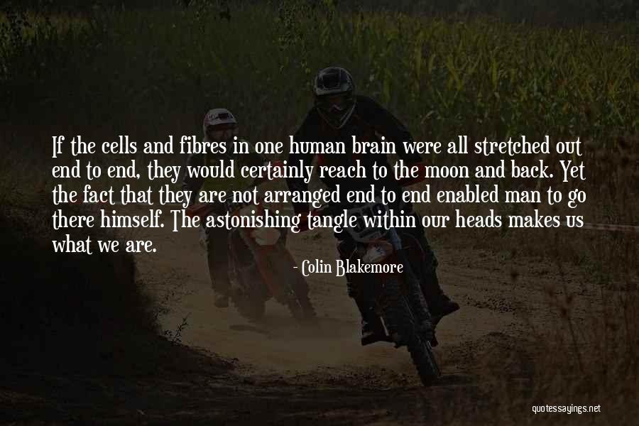 Man In The Moon Quotes By Colin Blakemore Man In The Moon Quotes By Colin Blakemore