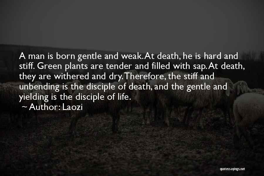 Man Is Weak Quotes By Laozi