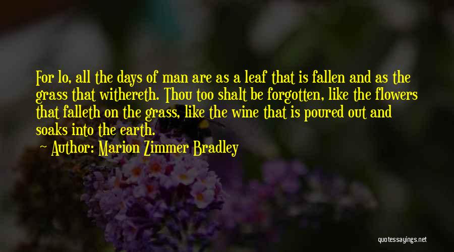 Man Like Wine Quotes By Marion Zimmer Bradley