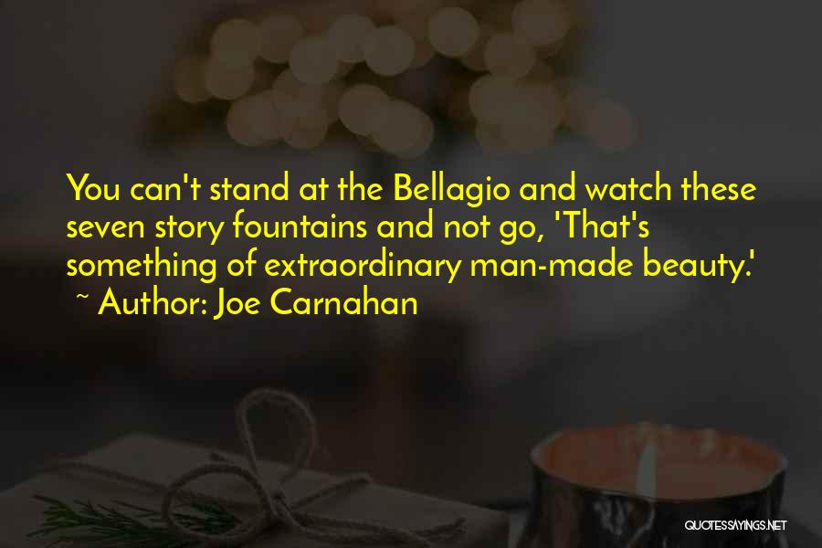 Man Made Beauty Quotes By Joe Carnahan